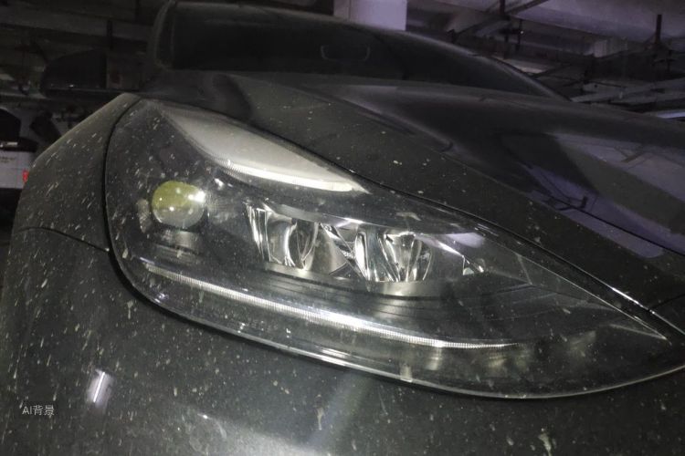 Tesla Model Y 2023 car image #8