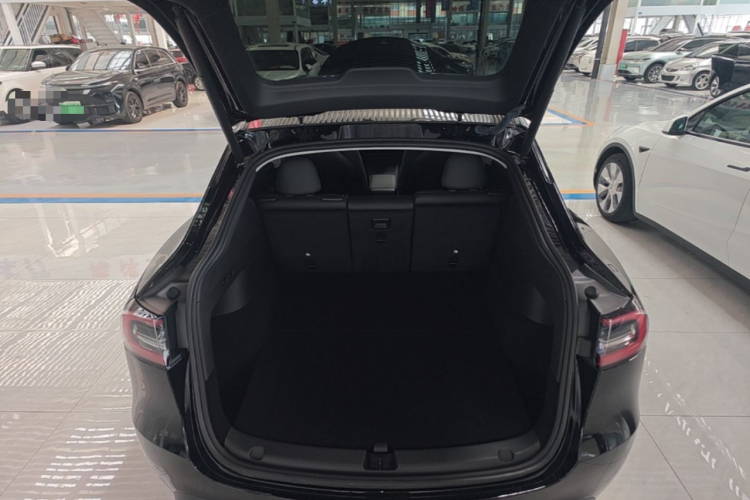 Tesla Model Y 2023 #21 Tesla Model Y 2023 car image #21