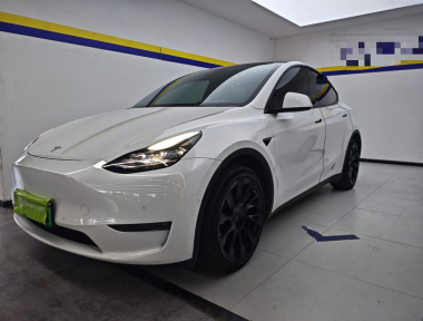 Tesla Model Y 2021 Tesla Model Y 2021 car image