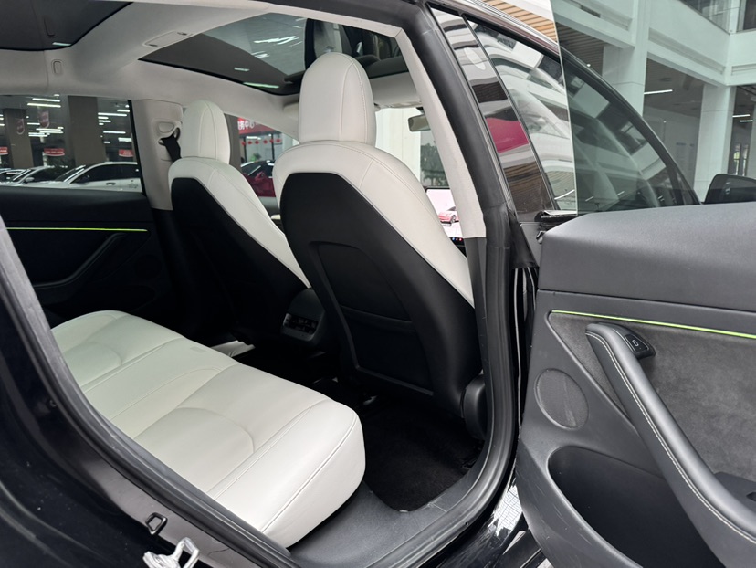 Tesla Model 3 2022 car image #20