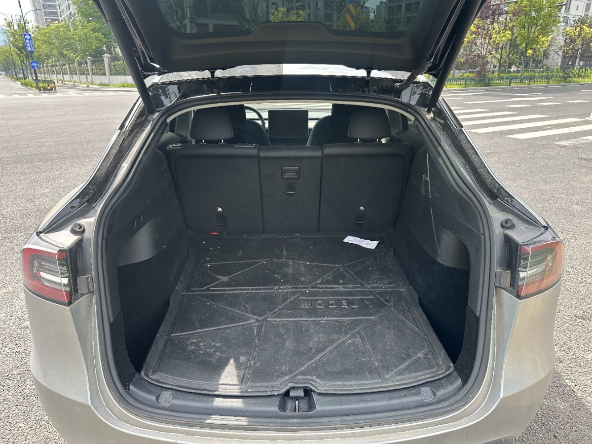 Tesla Model Y 2022 car image #14