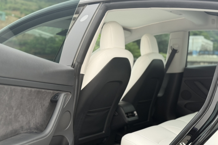Tesla Model 3 2021 car image #19