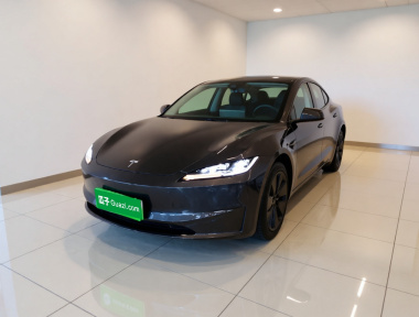 Tesla Model 3 2024 Tesla Model 3 2024 car image