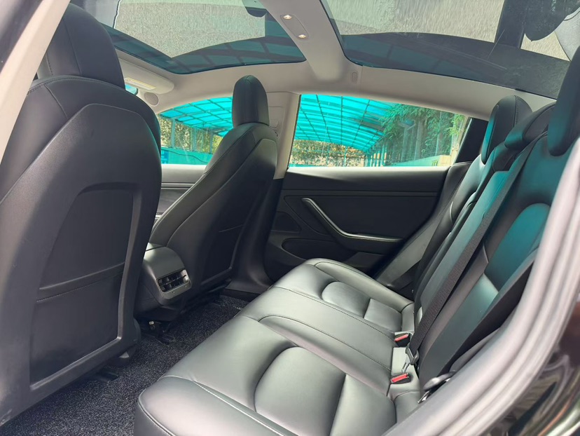 Tesla Model 3 2020 car image #9