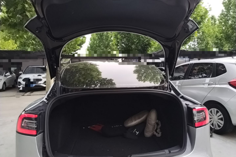 Tesla Model 3 2021 car image #19