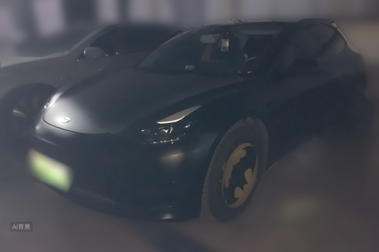 Tesla Model 3 2021 imagem de carro #2