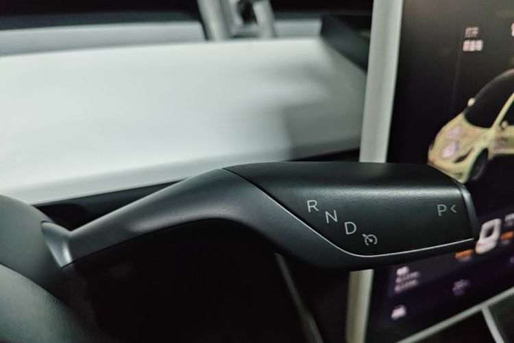 Tesla Model 3 2020 car image #14