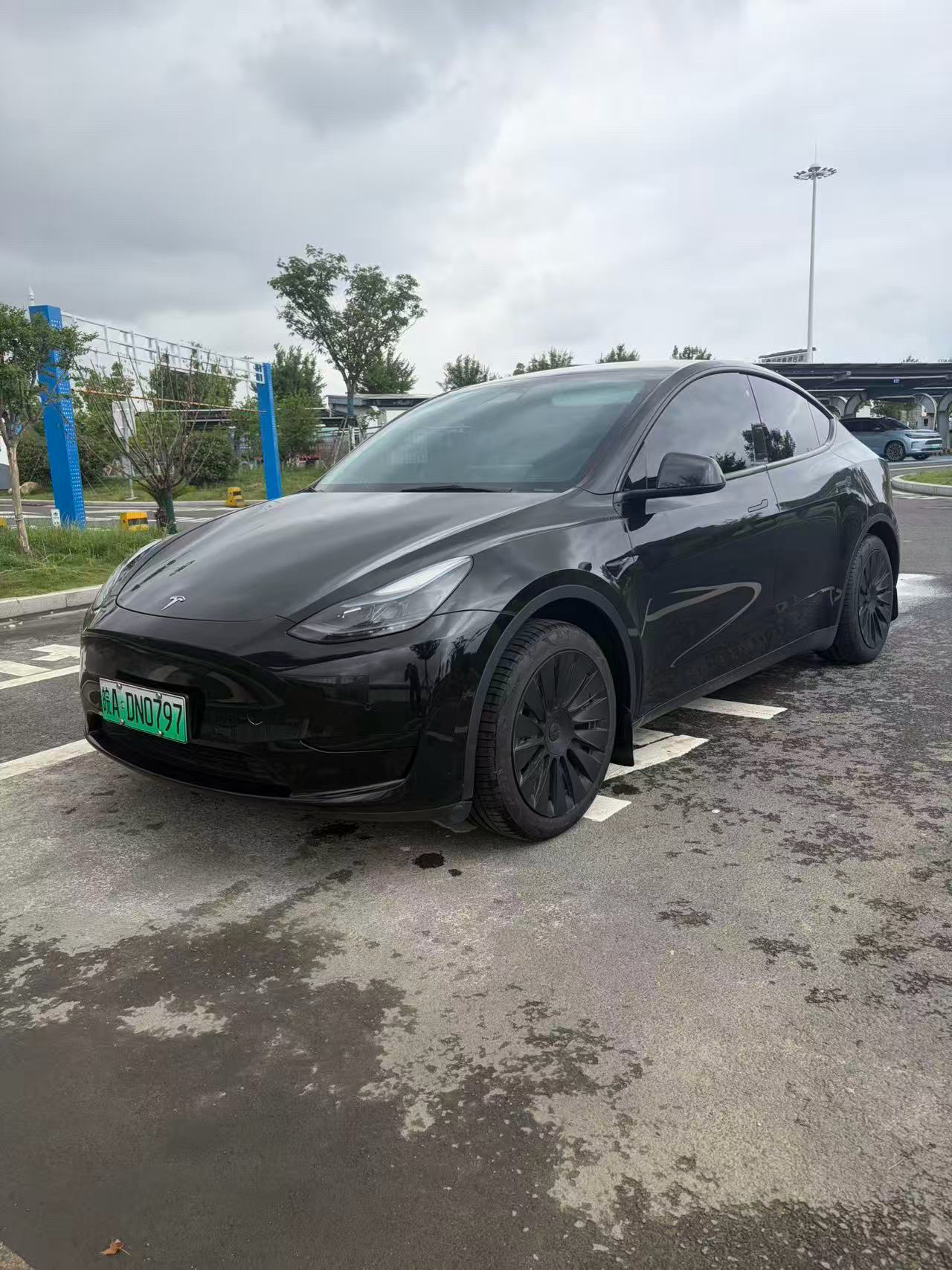 Tesla Model Y 2023 Tesla Model Y 2023 car image
