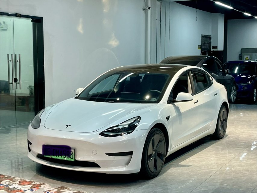 Tesla Model 3 2021 car image 
