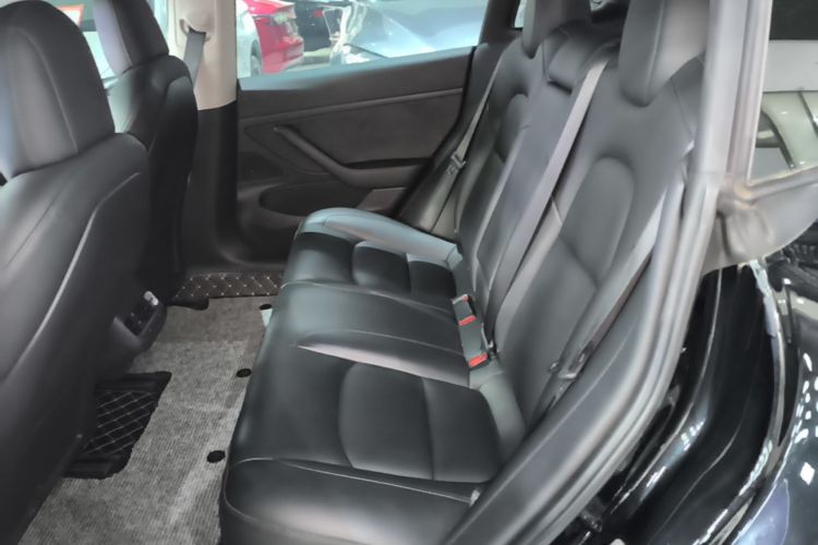Tesla Model 3 2020 #17 Tesla Model 3 2020 car image #17
