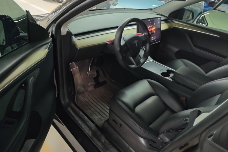 Tesla Model Y 2023 car image #16