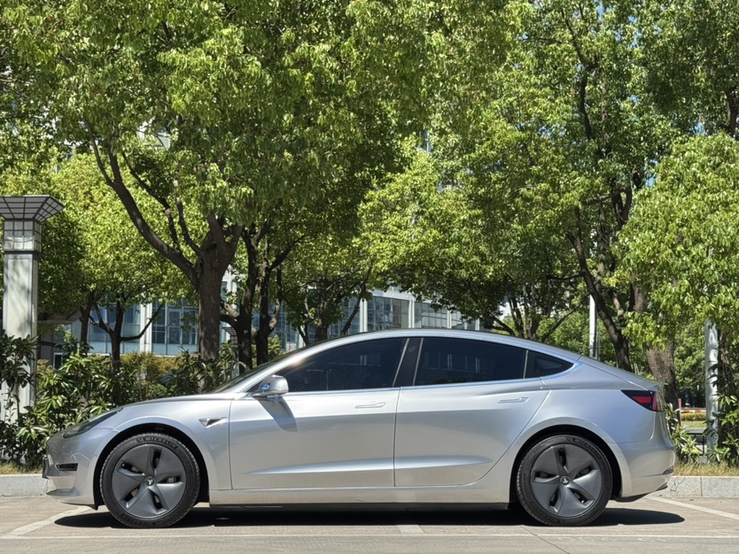 Tesla Model 3 2020 #3 Tesla Model 3 2020 car image #3