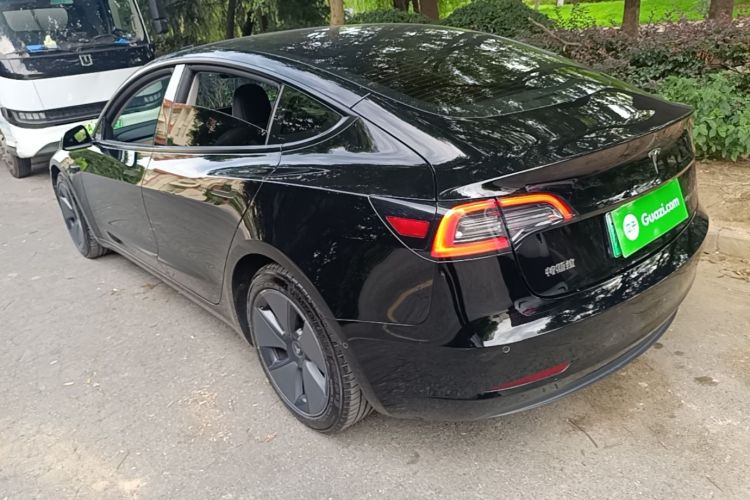 Tesla Model 3 2021 #7 Tesla Model 3 2021 car image #7