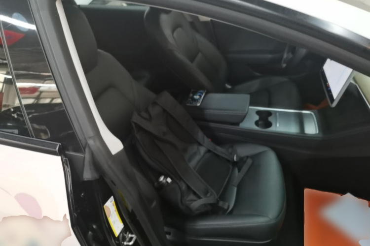 Tesla Model 3 2021 #24 Tesla Model 3 2021 immagine di auto #24