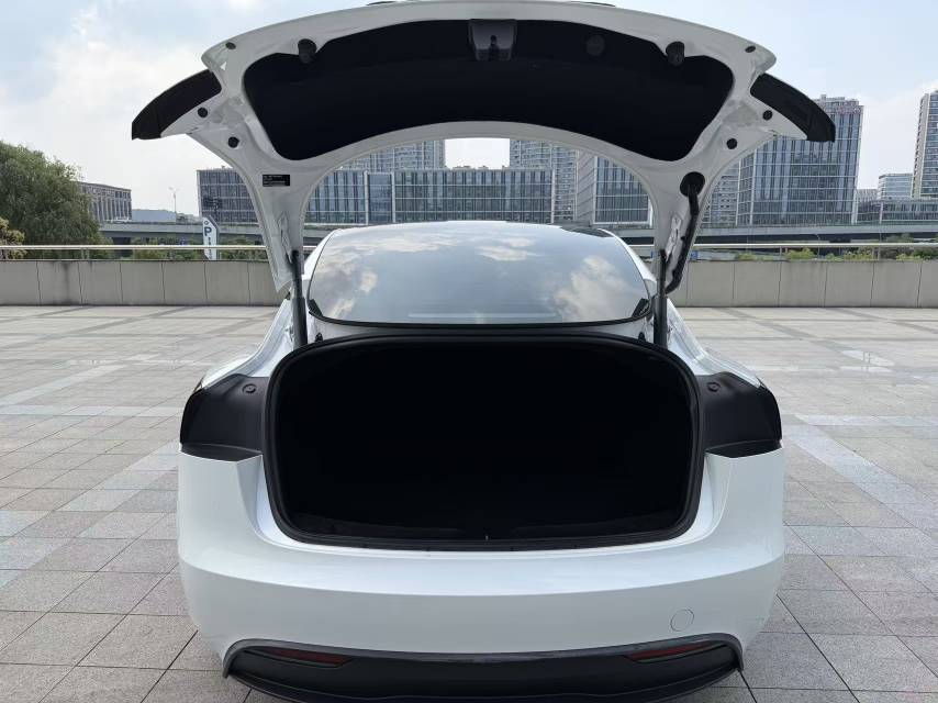 Tesla Model 3 2024 #10 Tesla Model 3 2024 car image #10
