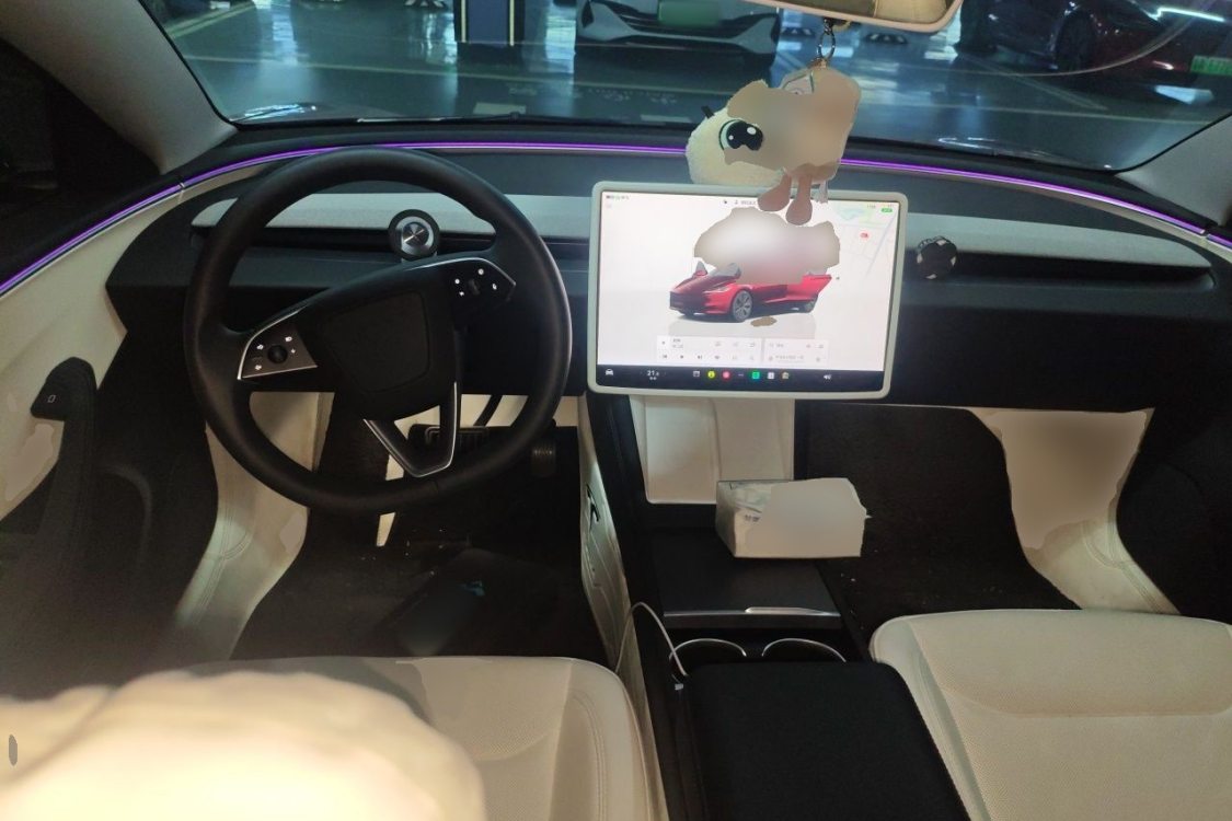 Tesla Model 3 2024 #21 Tesla Model 3 2024 car image #21