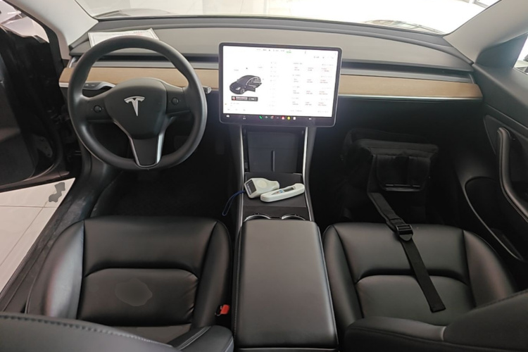 Tesla Model 3 2020 car image #10