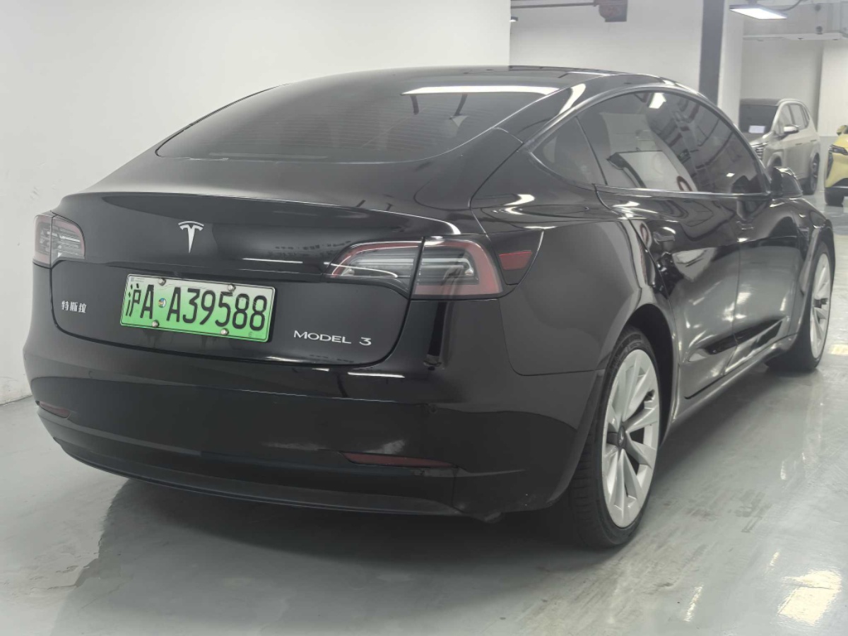 Tesla Model 3 2021 #7 Tesla Model 3 2021 car image #7