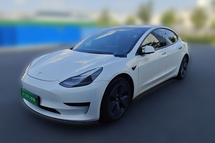 Tesla Model 3 2021 #2 Tesla Model 3 2021 car image #2