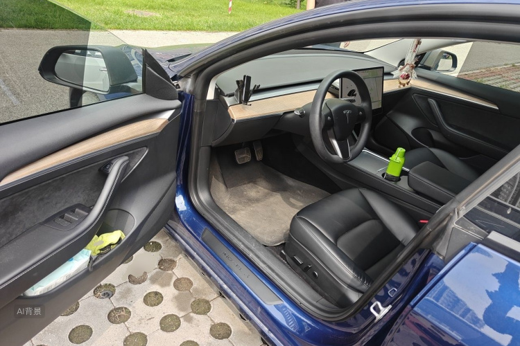Tesla Model 3 2021 car image #18