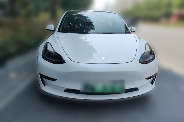 Tesla Model 3 2021 #3 Tesla Model 3 2021 car image #3