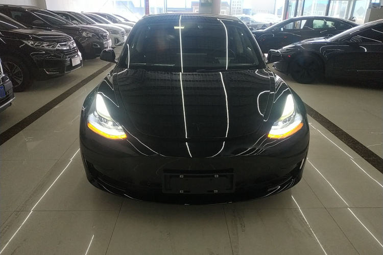 Tesla Model 3 2021 #3 Tesla Model 3 2021 immagine di auto #3