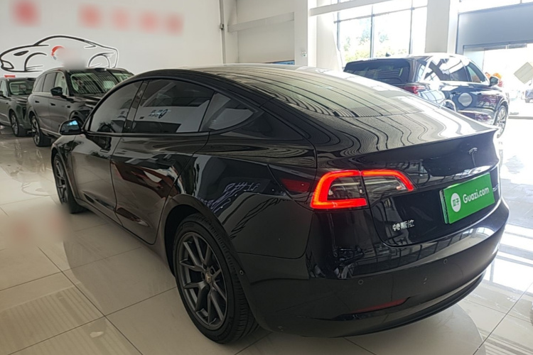 Tesla Model 3 2021 car image #5
