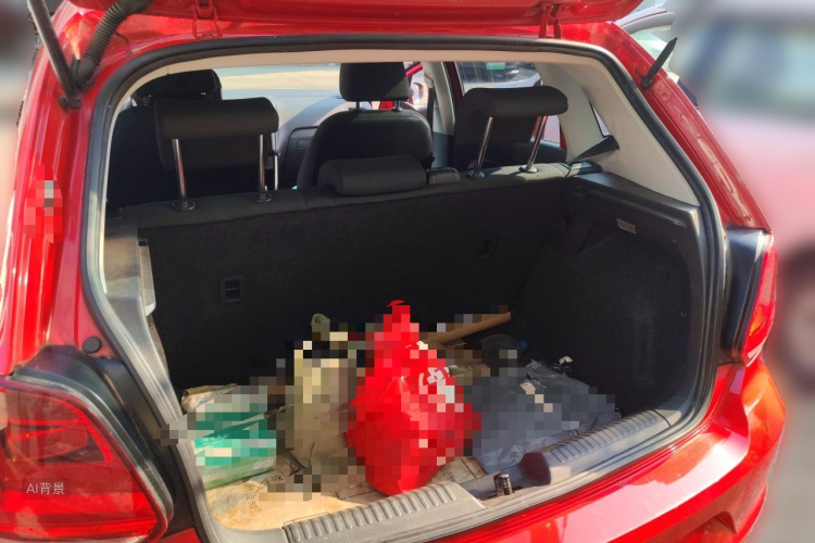 Volkswagen Polo 2019 car image #21