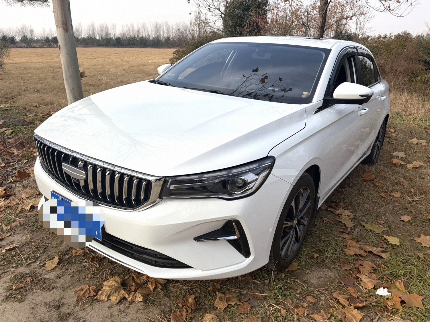 GEELY Emgrand 2023 car image 