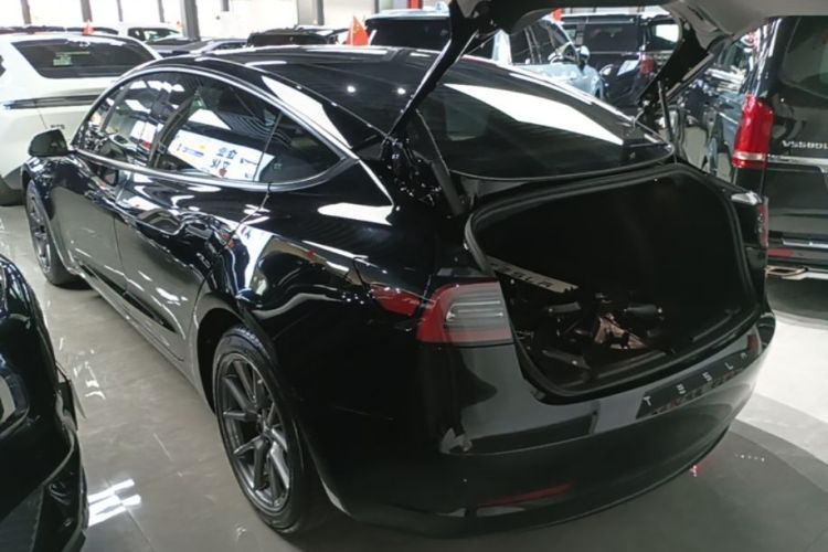 Tesla Model 3 2022 car image #5