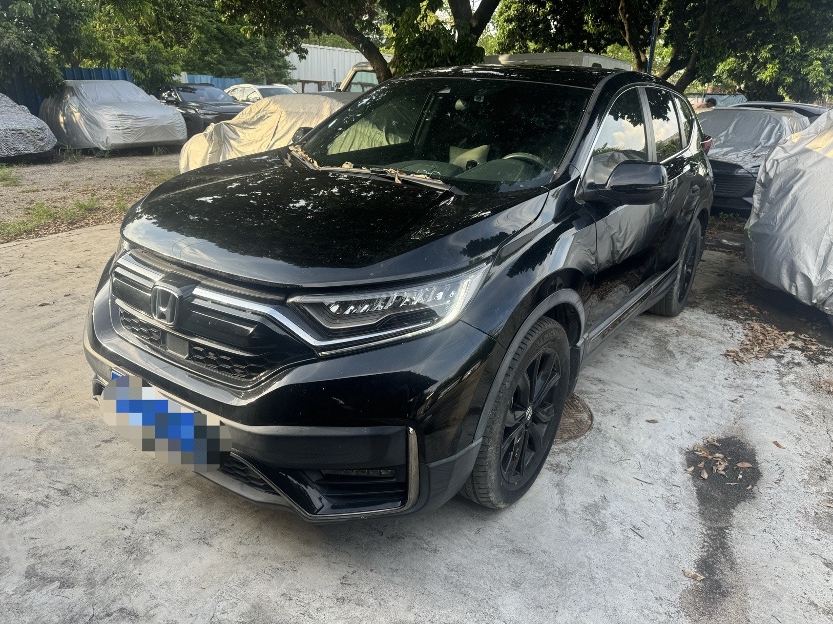 Honda CR-V 2022 Honda CR-V 2022 car image