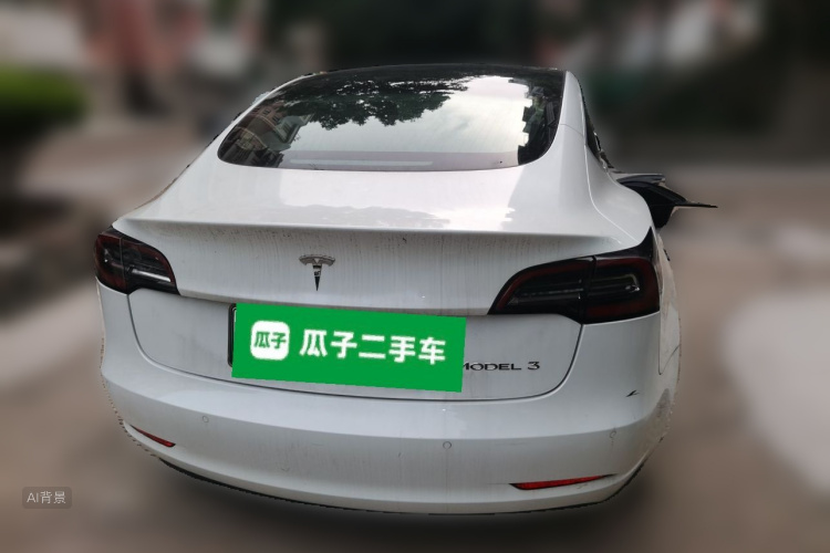 Tesla Model 3 2020 car image #6