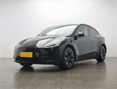 Tesla Model Y 2024 car image 