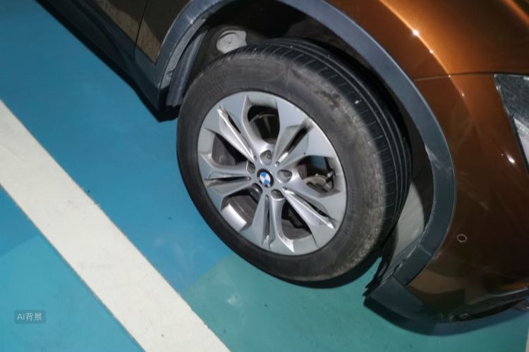 BMW X1 2017 car image #9