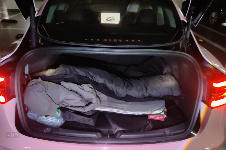 Tesla Model 3 2022 car image #21