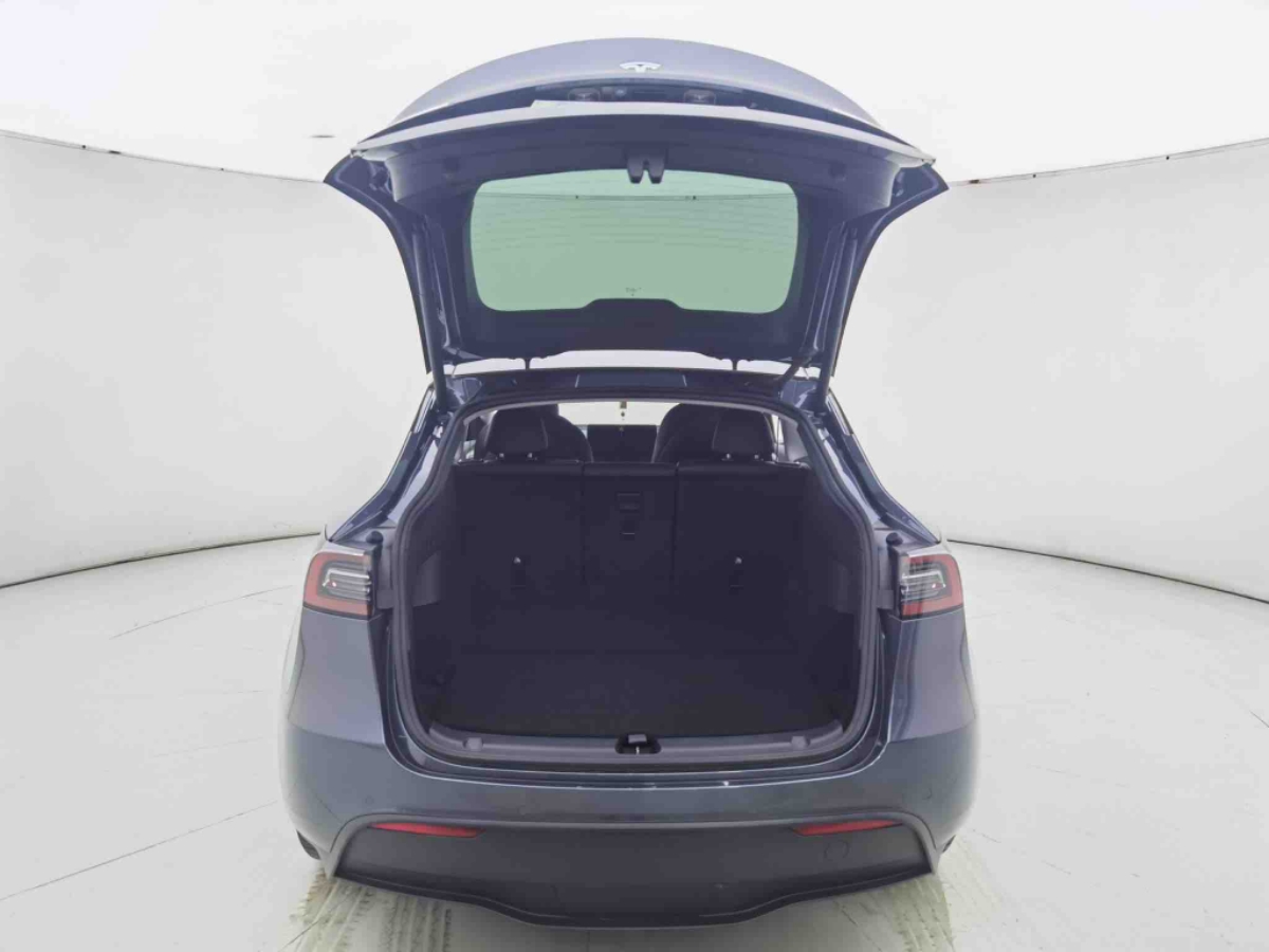 Tesla Model Y 2021 #11 Tesla Model Y 2021 car image #11