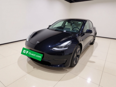 Tesla Model 3 2021 car image 
