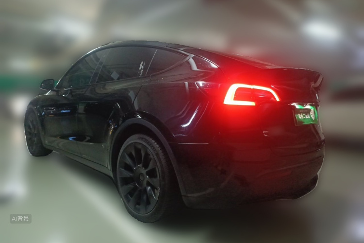 Tesla Model Y 2021 car image #5