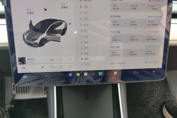 Tesla Model 3 2019 car image #14