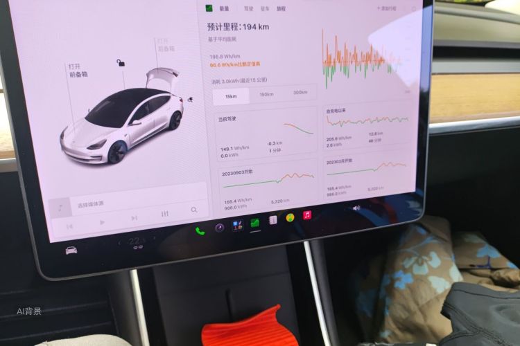 Tesla Model 3 2020 immagine di auto #15