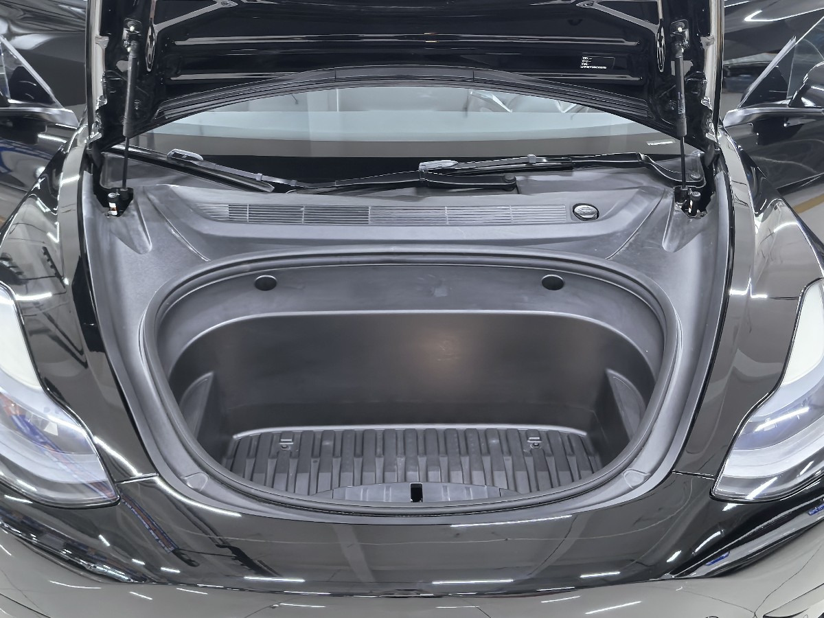 Tesla Model 3 2022 #8 Tesla Model 3 2022 car image #8