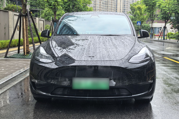 Tesla Model Y 2021 #3 Tesla Model Y 2021 car image #3