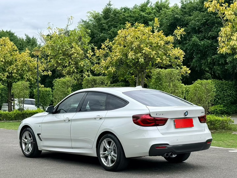 BMW 3 Series GT 2019 изображение автомобиля #9