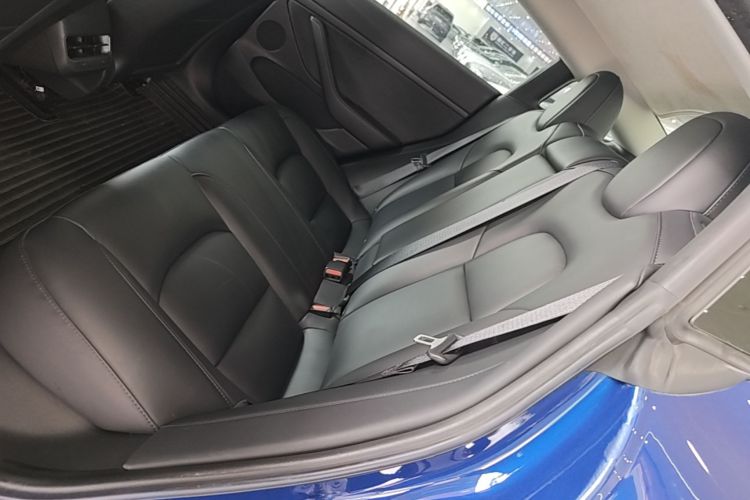 Tesla Model 3 2021 #13 Tesla Model 3 2021 car image #13