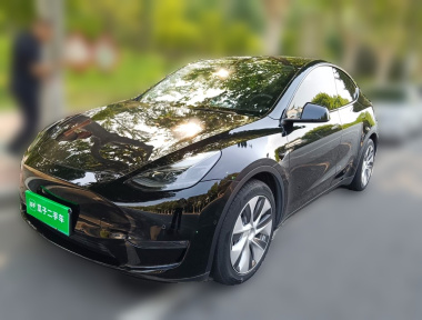 Tesla Model Y 2021 Tesla Model Y 2021 car image