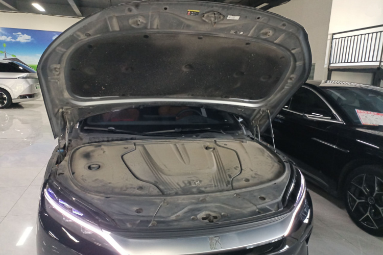 比亚迪 汉 2022 汽车图片 #20