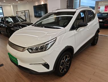BYD Yuan Pro 2022 car image 