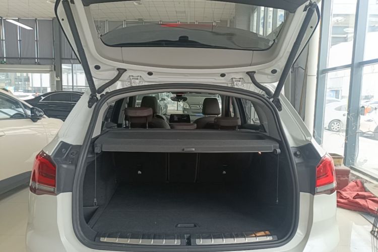 BMW X1 New Energy 2020 car image #19