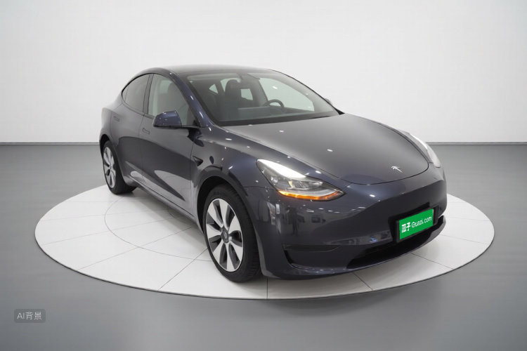 Tesla Model Y 2021 car image #4