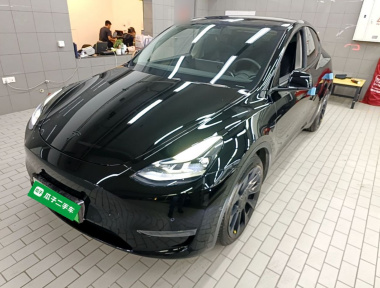 Tesla Model Y 2021 car image 